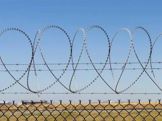 Tingkatkan Keamanan Properti: Cara Memilih & Memasang Kawat Silet (Razor Wire) vs Kawat Duri
